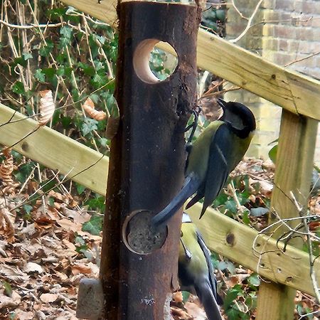 Boshuisje Durbuy Met Zwembad Op Het Park Zewnętrze zdjęcie